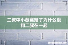 二叔中小薇离婚了为什么没和二叔在一起