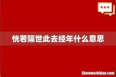 恍若隔世此去经年什么意思
