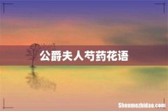 公爵夫人芍药花语