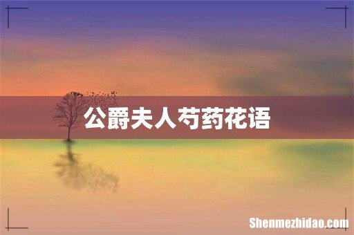 公爵夫人芍药花语