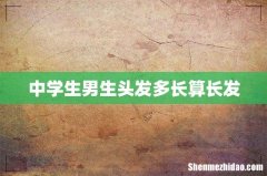 中学生男生头发多长算长发
