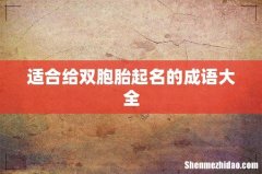 适合给双胞胎起名的成语大全