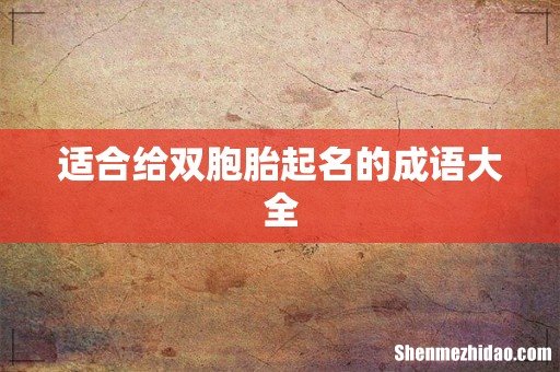 适合给双胞胎起名的成语大全