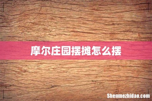 摩尔庄园摆摊怎么摆