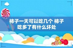 柿子一天可以吃几个 柿子吃多了有什么坏处