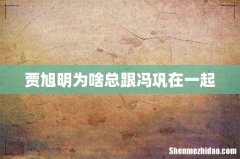 贾旭明为啥总跟冯巩在一起