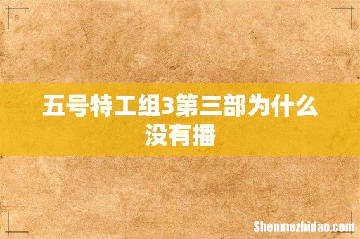五号特工组3第三部为什么没有播