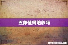 五郎值得培养吗