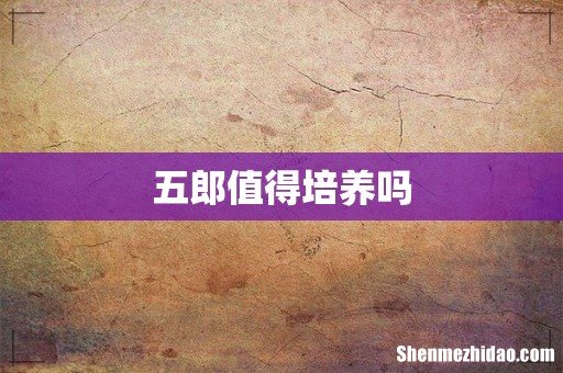 五郎值得培养吗