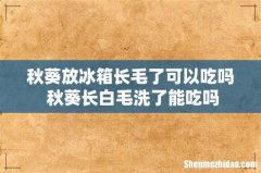 秋葵放冰箱长毛了可以吃吗 秋葵长白毛洗了能吃吗