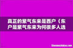 东户是紫气东来为何很多人选择西户 真正的紫气东来是西户