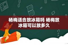 杨梅适合放冰箱吗 杨梅放冰箱可以放多久
