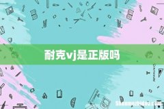 耐克vj是正版吗