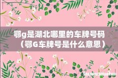 鄂G车牌号是什么意思 鄂g是湖北哪里的车牌号码