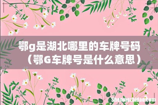 鄂G车牌号是什么意思 鄂g是湖北哪里的车牌号码