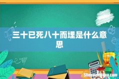 三十已死八十而埋是什么意思