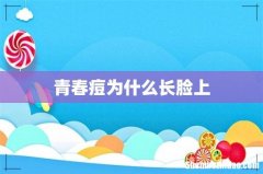 青春痘为什么长脸上
