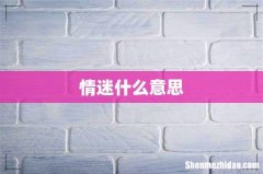 情迷什么意思