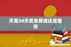 天龙3d天武走穿透还是爆伤