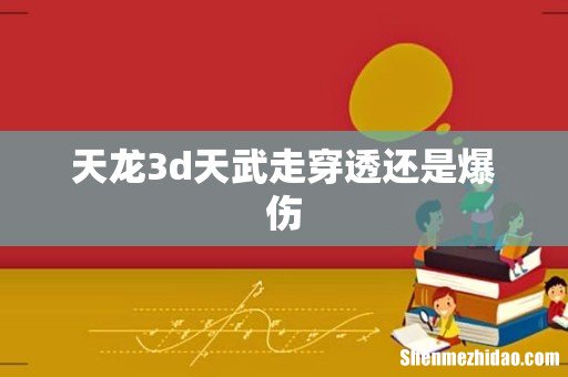 天龙3d天武走穿透还是爆伤