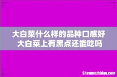 大白菜什么样的品种口感好 大白菜上有黑点还能吃吗