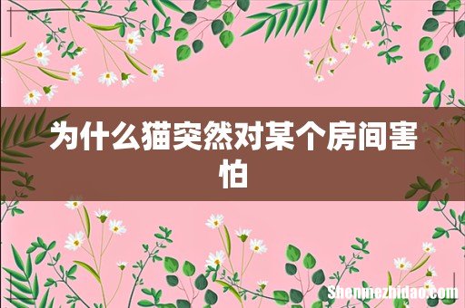 为什么猫突然对某个房间害怕