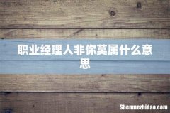 职业经理人非你莫属什么意思