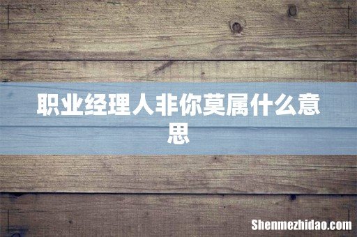 职业经理人非你莫属什么意思