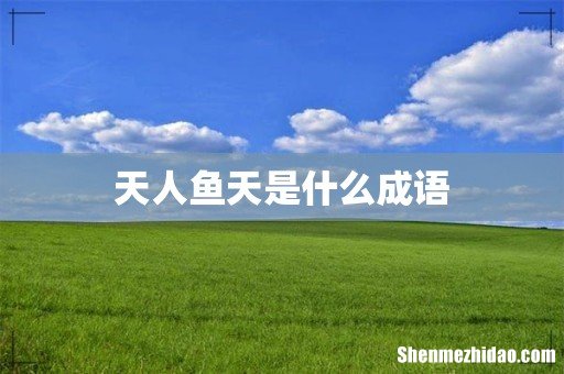 天人鱼天是什么成语