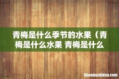 青梅是什么水果 青梅是什么季节的 青梅是什么季节的水果