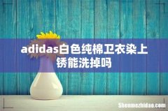 adidas白色纯棉卫衣染上锈能洗掉吗