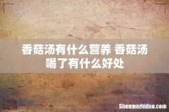 香菇汤有什么营养 香菇汤喝了有什么好处