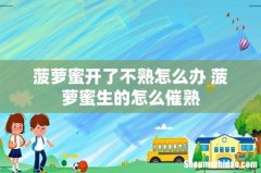 菠萝蜜开了不熟怎么办 菠萝蜜生的怎么催熟