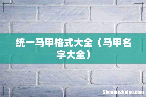 马甲名字大全 统一马甲格式大全