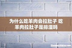 为什么吃羊肉会拉肚子 吃羊肉拉肚子是排湿吗