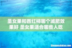 圣女果和西红柿哪个减肥效果好 圣女果适合哪些人吃