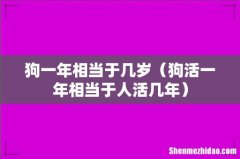 狗活一年相当于人活几年 狗一年相当于几岁
