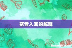 密音入耳的解释