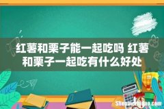 红薯和栗子能一起吃吗 红薯和栗子一起吃有什么好处