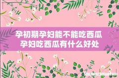 孕初期孕妇能不能吃西瓜 孕妇吃西瓜有什么好处