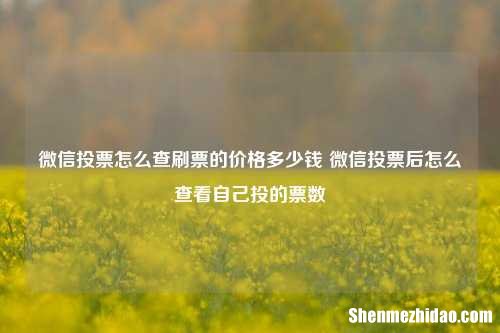 微信投票怎么查刷票的价格多少钱 微信投票后怎么查看自己投的票数