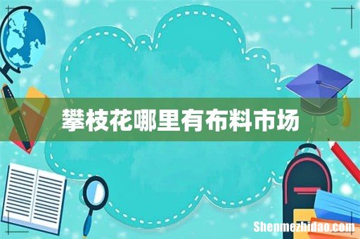 攀枝花哪里有布料市场