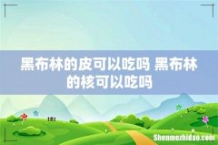 黑布林的皮可以吃吗 黑布林的核可以吃吗