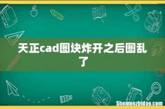 天正cad图块炸开之后图乱了
