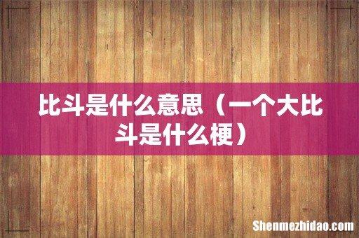 一个大比斗是什么梗 比斗是什么意思