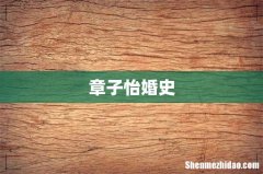 章子怡婚史