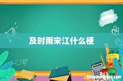 及时雨宋江什么梗