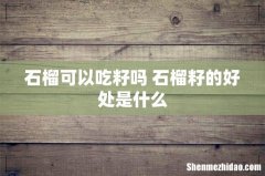 石榴可以吃籽吗 石榴籽的好处是什么