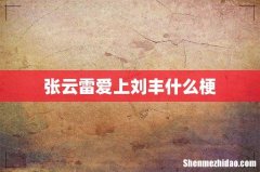 张云雷爱上刘丰什么梗