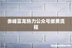 赤峰富龙热力公众号缴费流程